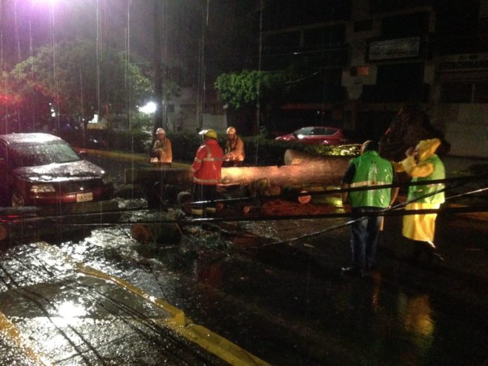 F52E8331-0725-4087-8279-78CE04462F6C