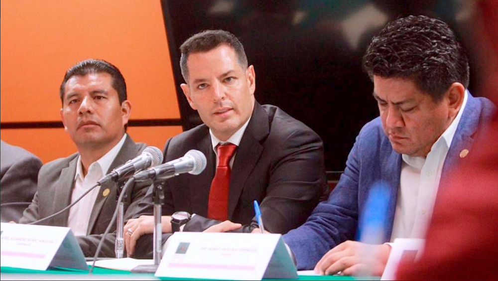 AMH-DIPUTADOS FEDERALES 1