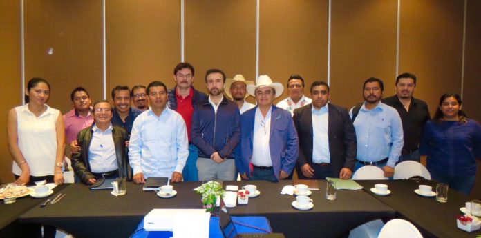 Se entregan las primeras 160 mil plántulas de café robusta en la Cañada e Istmo (1)