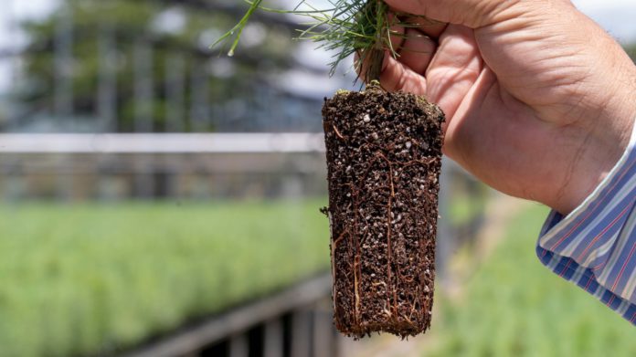 b0fa29c0-f083-45a1-aac2-85009876d546