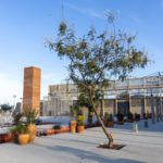 Imagen de WhatsApp 2024-12-03 a las 10.51.00_a966d73b