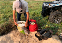 Recuperan más de mil huevos de tortuga durante operativo en Playa La Escobilla