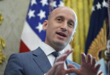 “La CDMX está gobernada por los cárteles”: asesor de Trump destaca inseguridad en México