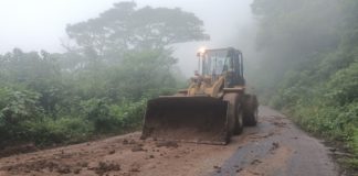 Retiran derrumbes en caminos de la Sierra de Juárez y Costa
