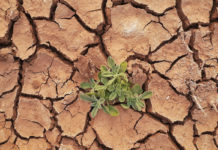 ONU advierte que el mundo se encamina a superar 1.5 grados de calentamiento global para los próximos 10 años