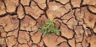 ONU advierte que el mundo se encamina a superar 1.5 grados de calentamiento global para los próximos 10 años