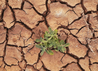 ONU advierte que el mundo se encamina a superar 1.5 grados de calentamiento global para los próximos 10 años