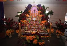 Con exhibición de 31 altares, Oaxaca comparte la fiesta de Día de Muertos