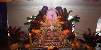 Con exhibición de 31 altares, Oaxaca comparte la fiesta de Día de Muertos