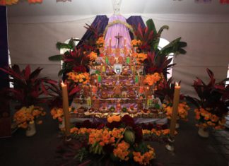 Con exhibición de 31 altares, Oaxaca comparte la fiesta de Día de Muertos