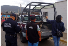 Rescatan autoridades a perrita víctima de maltrato