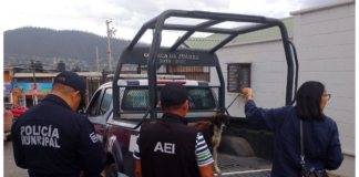 Rescatan autoridades a perrita víctima de maltrato