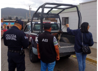 Rescatan autoridades a perrita víctima de maltrato