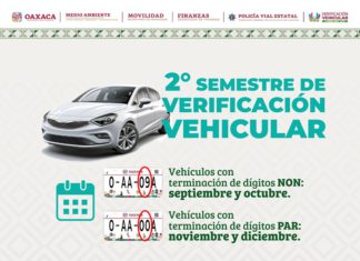Convocan a realizar verificación vehicular de unidades con terminación de placa en número par