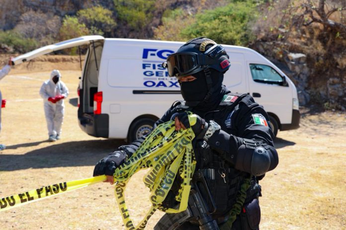 WhatsApp Image 2025-11-07 at 9.41.16 AM