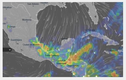 WhatsApp Image 2025-11-08 at 10.42.46 AM