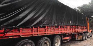 Obtiene FGR sentencia contra persona por transportar cerca de tres toneladas de marihuana