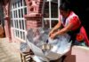 Cocinar sin gas ni leña: así trabajan las “cocineras solares” en Oaxaca