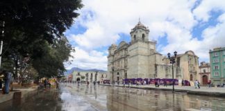 Refuerzan limpieza en el Centro Histórico con intervención en la Alameda de León