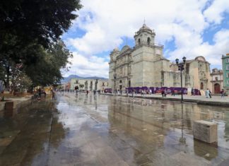 Refuerzan limpieza en el Centro Histórico con intervención en la Alameda de León