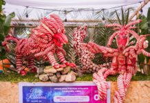 Noche de Rábanos 2025: Oaxaca de Juárez celebra su tradición más emblemática