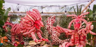 Noche de Rábanos 2025: Oaxaca de Juárez celebra su tradición más emblemática