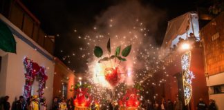 Miles celebran el Convite de la Noche de Rábanos 2025 en Oaxaca