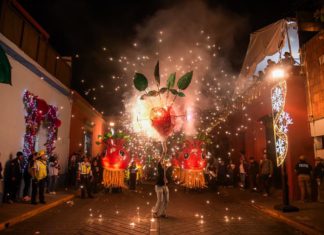 Miles celebran el Convite de la Noche de Rábanos 2025 en Oaxaca