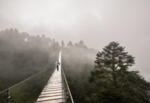 Ruta Sierra Juárez, una experiencia imperdible de turismo comunitario