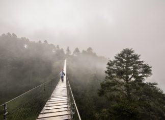 Ruta Sierra Juárez, una experiencia imperdible de turismo comunitario
