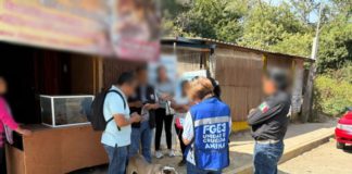 Rescata FGEO a Kira, ante probable maltrato animal y activa medidas de protección