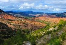 Descubren en Oaxaca microorganismos benéficos para sistemas agrícolas