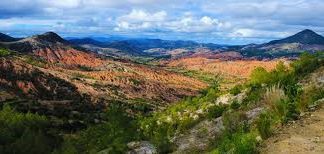 Descubren en Oaxaca microorganismos benéficos para sistemas agrícolas
