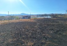 Reportan incendio forestal controlado en límites de Soledad Etla y Reyes Etla