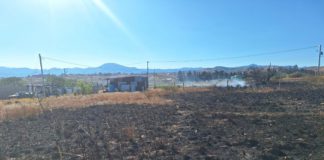 Reportan incendio forestal controlado en límites de Soledad Etla y Reyes Etla