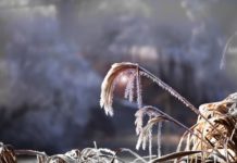 Frente frío número 27 dejará lluvias fuertes, evento de norte y ambiente fresco