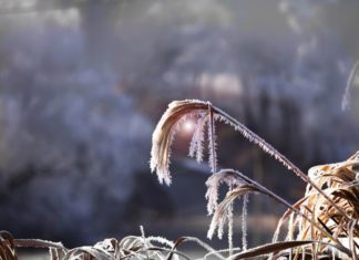 Frente frío número 27 dejará lluvias fuertes, evento de norte y ambiente fresco