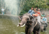Indonesia, primer país de Asia en prohibir los paseos en elefante