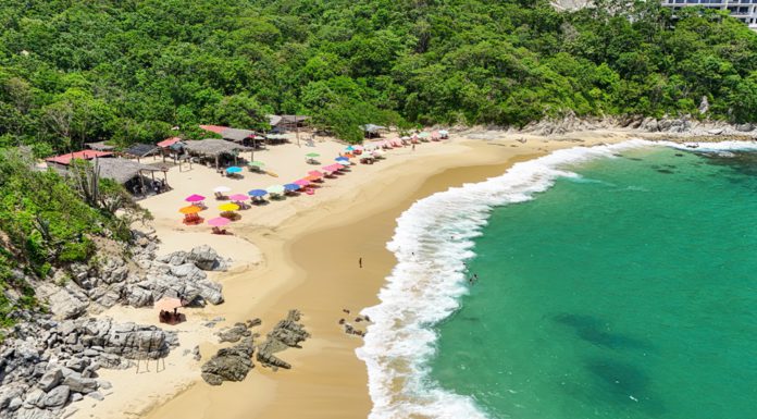 Estiman derrama de 267 mdp en primer puente vacacional del 2026