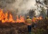 Reportan tres incendios forestales activos y tres liquidados