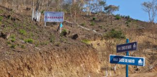 Clausura Profepa dos proyectos inmobiliarios ilegales en la Costa e Istmo