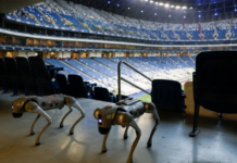 Bolivia pedirá a FIFA más seguridad en México para la repesca del Mundial