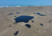 Acusan organizaciones al gobierno de ocultar derrame en el Golfo de México