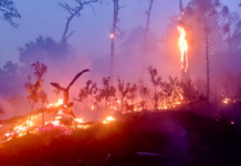 Durante marzo, atiende Coesfo 36 incendios forestales y de pastizales