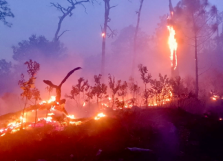 Durante marzo, atiende Coesfo 36 incendios forestales y de pastizales