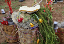 Vive Zaachila la Semana Santa entre fe, tradición y comunidad