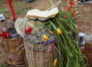 Vive Zaachila la Semana Santa entre fe, tradición y comunidad