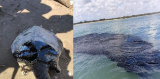 Alista sistema de alertamiento por derrame de hidrocarburos