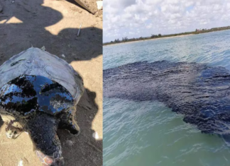 Alista sistema de alertamiento por derrame de hidrocarburos