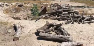 Guerreros Buscadores de Jalisco publica video inédito del rancho Izaguirre